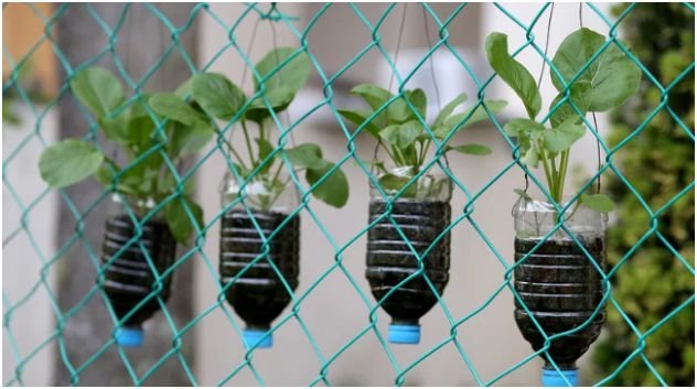 How Do Lifestyle Choices Shape Minimalist Living Ideas for Beginners?