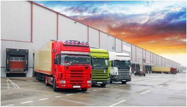 Verify Licensing and Insurance Coverage