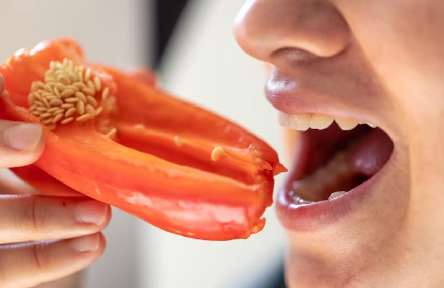 Bite Checks, Muscle Care, And Daily Habits