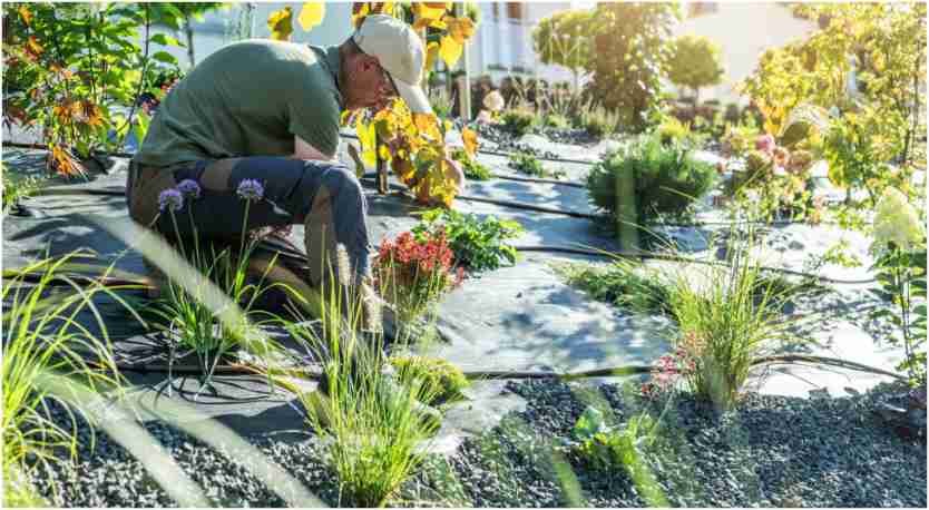 Irrigation in Colorado: Why Strategic Water Management Matters More Than Ever