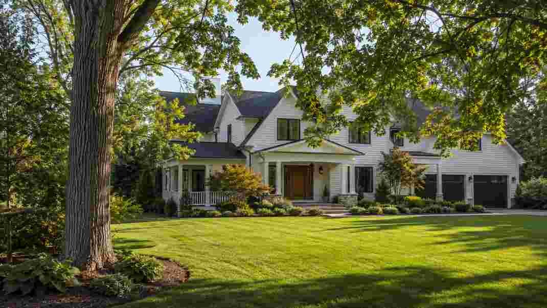 The Long-Term Benefits of Investing in Professional Tree Care Services