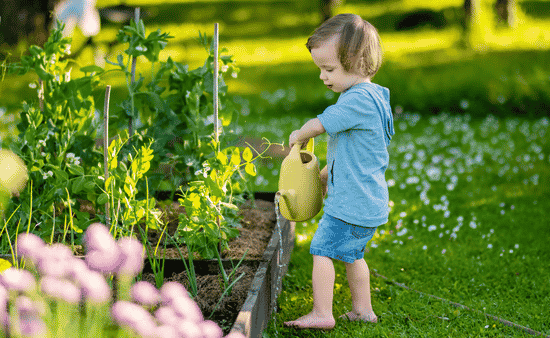 Master the Art of Smart Plant Sourcing